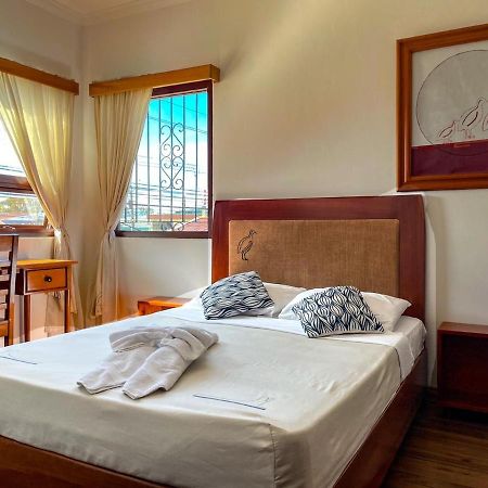 Luz De Luna Hotel Barrio Escalante Σαν Χοσέ Εξωτερικό φωτογραφία