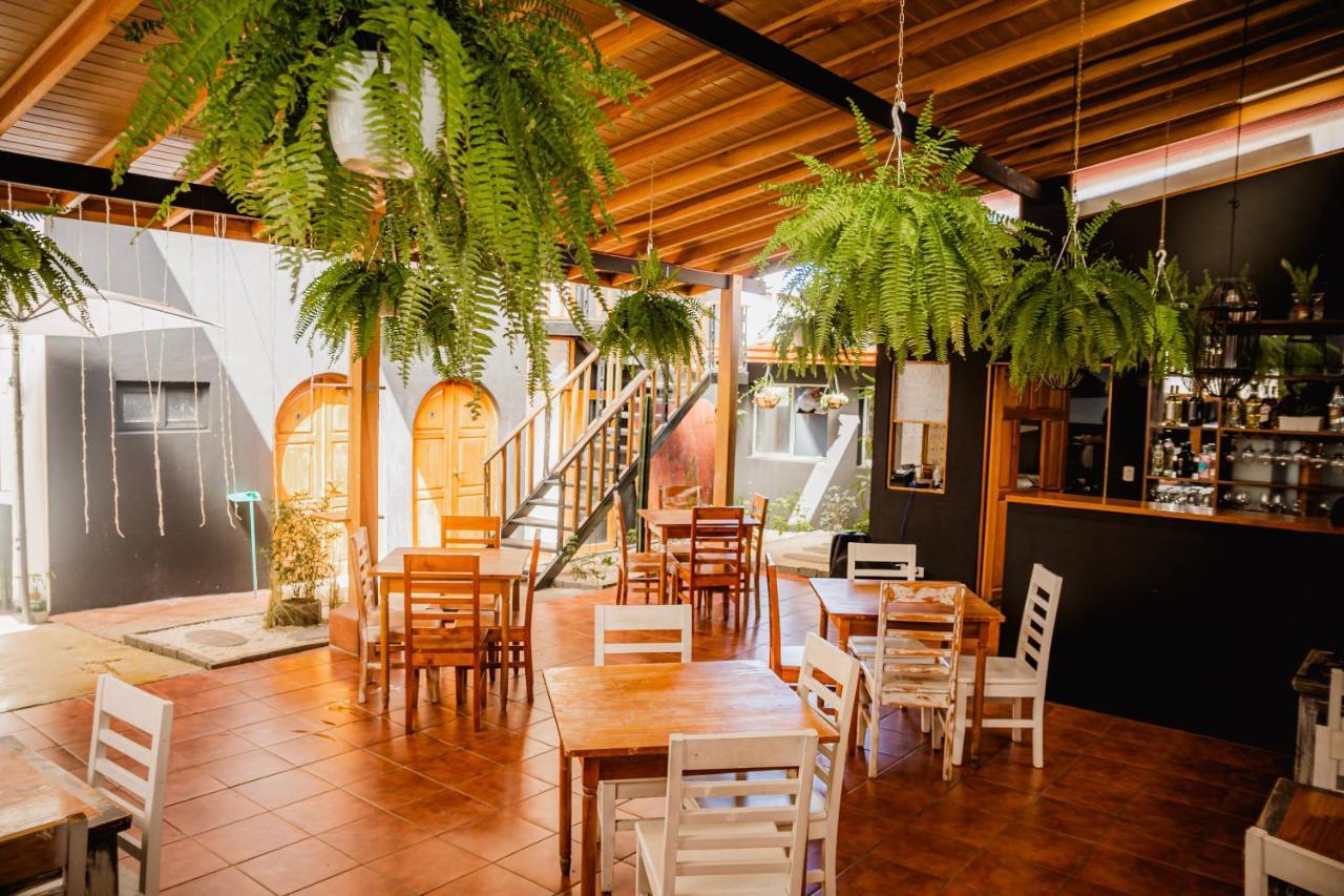 Luz De Luna Hotel Barrio Escalante Σαν Χοσέ Εξωτερικό φωτογραφία
