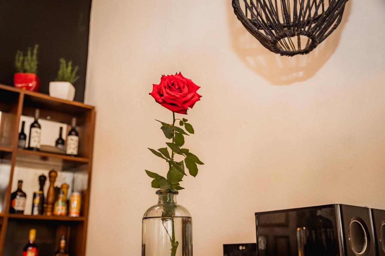 Luz De Luna Hotel Barrio Escalante Σαν Χοσέ Εξωτερικό φωτογραφία