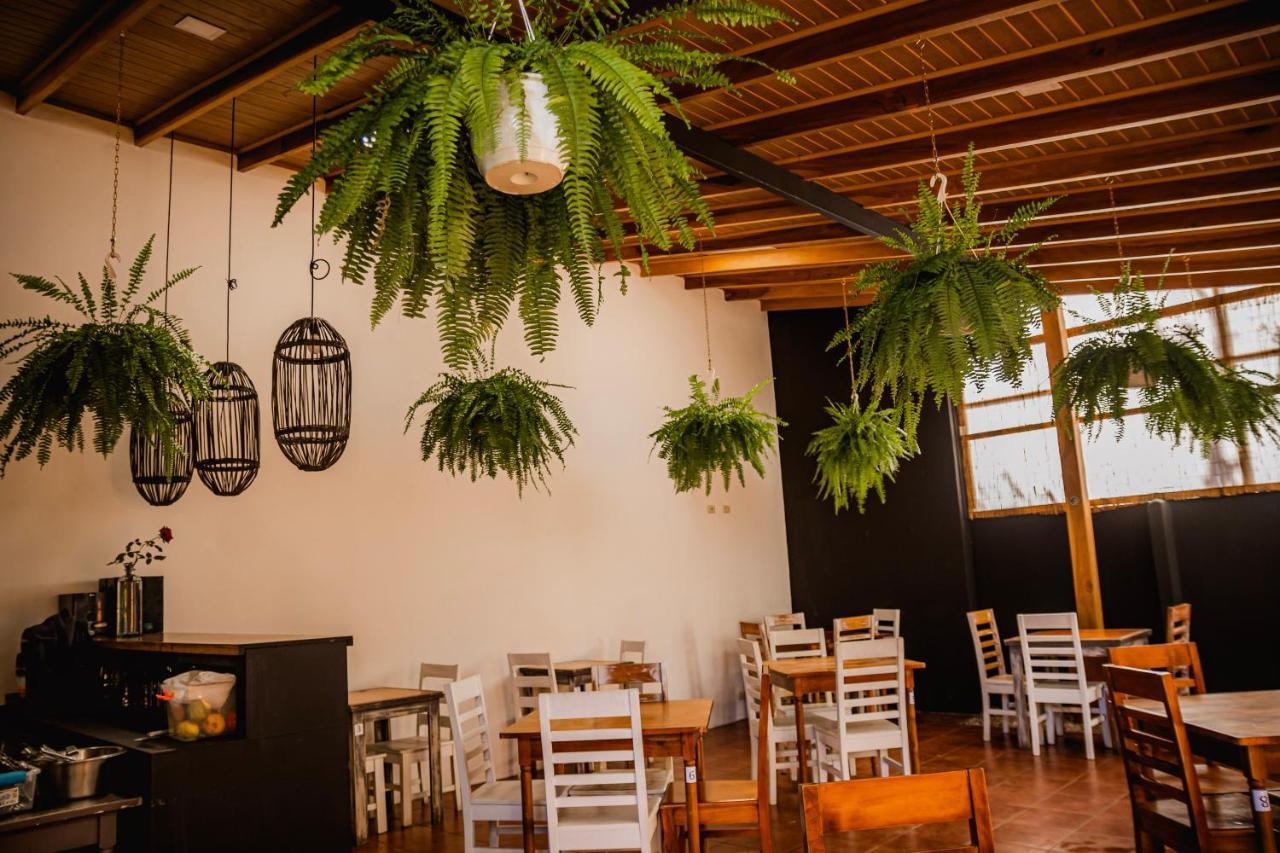 Luz De Luna Hotel Barrio Escalante Σαν Χοσέ Εξωτερικό φωτογραφία