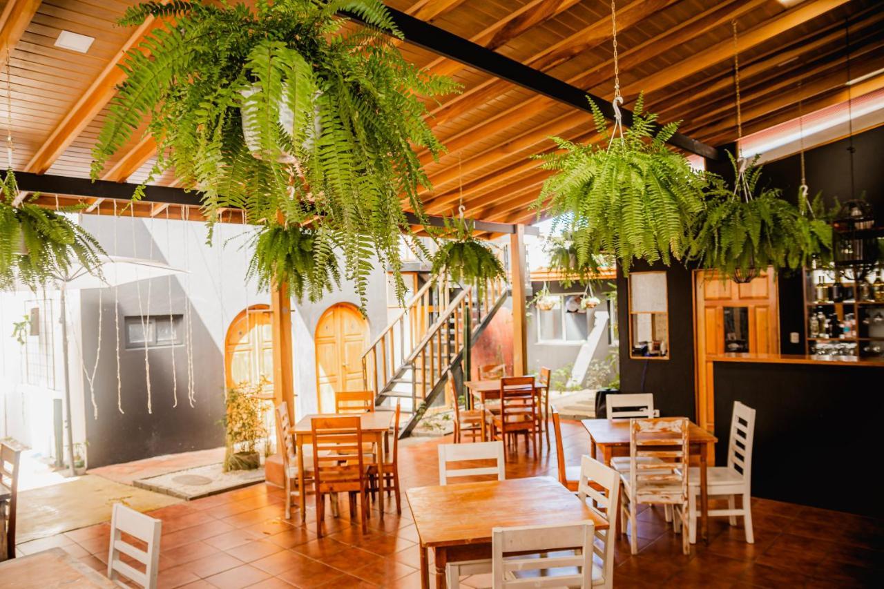 Luz De Luna Hotel Barrio Escalante Σαν Χοσέ Εξωτερικό φωτογραφία