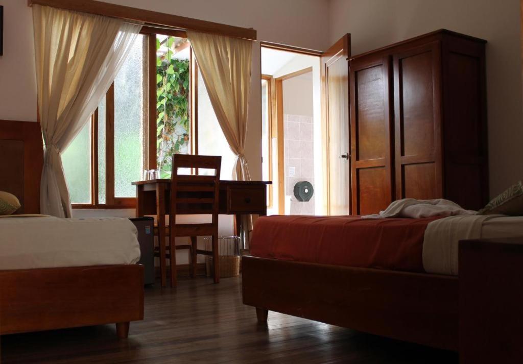Luz De Luna Hotel Barrio Escalante Σαν Χοσέ Εξωτερικό φωτογραφία